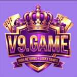 v9 game