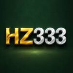 HZ333 GAME